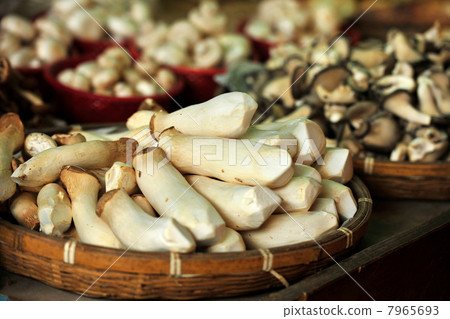 蘑菇在上海市場銷售 蘑菇在上海市場銷售 7965693