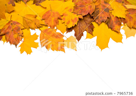 Autumn background Autumn background 7965736