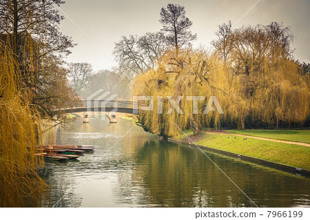 Cam river, Cambridge 7966199