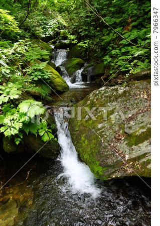 Clear current near the falls of Ozegohara Sanjo 7966347