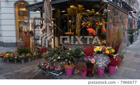 Vienna's flower shop Christmas 1 Vienna's flower shop Christmas 1 7966677