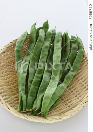 Moroccan bean 7966720