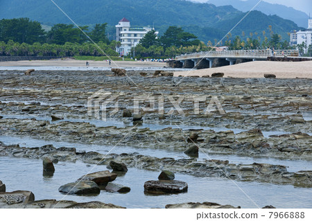 青島神社的彌生橋和惡魔的洗衣板 7966888