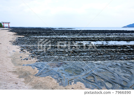 食人魔的洗衣板 7966890