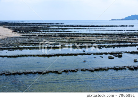 食人魔的洗衣板 7966891