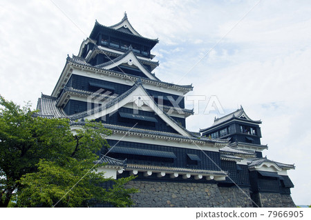 Kumamoto Castle  7966905