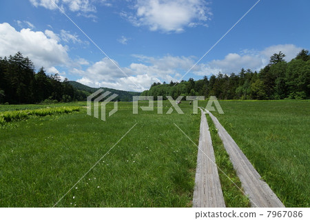 Oze Oi河 Oze Oi河 7967086