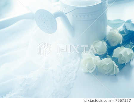 Flower image 7967357