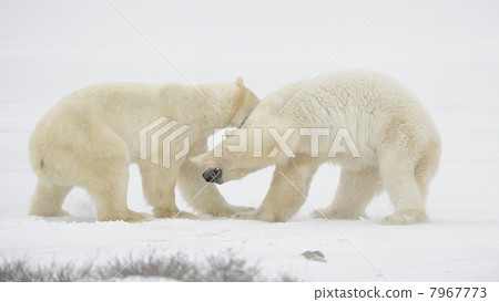 Overindulgence 7967773