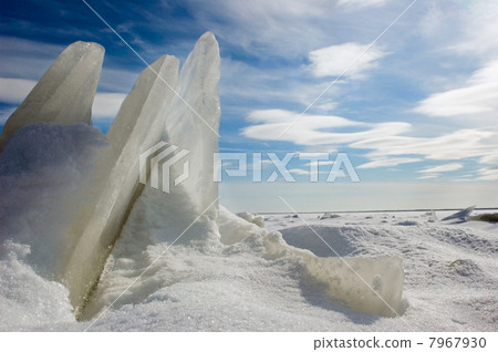 Ice floe. Ice floe. 7967930
