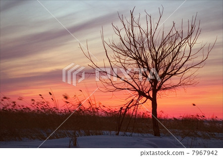 Disturbing sunset. Disturbing sunset. 7967942