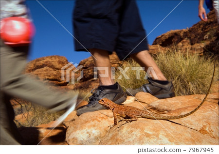 Meeting on a footpath. 7967945
