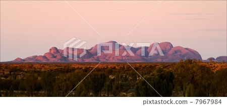 Kata Tjuta sunrise. Kata Tjuta sunrise. 7967984