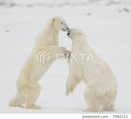 Face to face. 7968152