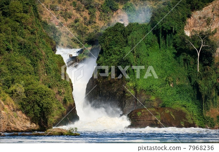 Murchison falls. 7968236