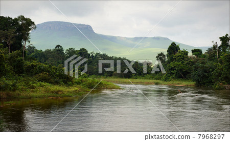 Riiver in jungle. 7968297