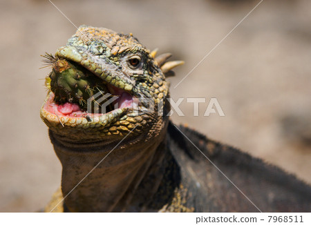 Sharp breakfast 7968511