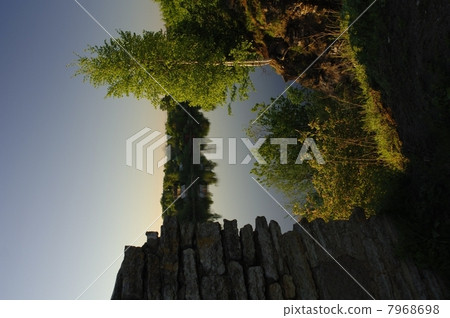 View on the river Volkhov. 7968698