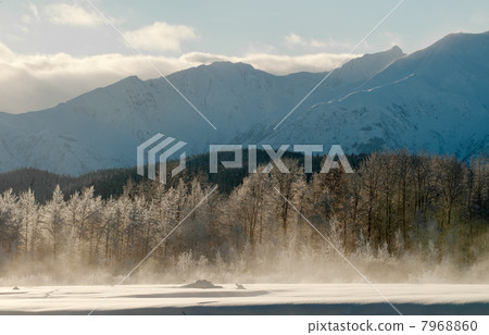 The Chilkat Valley under a covering of snow The Chilkat Valley under a covering of snow 7968860