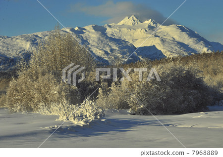 The Chilkat Valley under a covering of snow The Chilkat Valley under a covering of snow 7968889