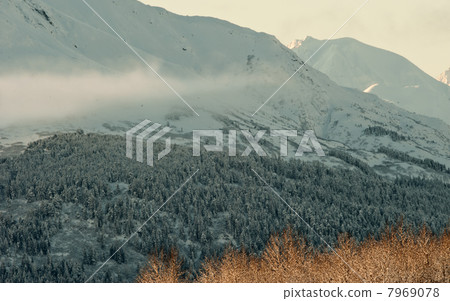 The Chilkat Valley under a covering of snow The Chilkat Valley under a covering of snow 7969078