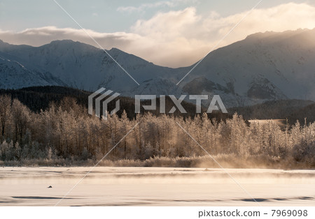 The Chilkat Valley under a covering of snow The Chilkat Valley under a covering of snow 7969098