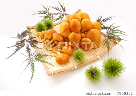 Image of Nomeko Fall 7969352