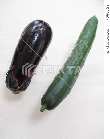 Obon跳蚤馬黃瓜馬和蛋母牛 7969358