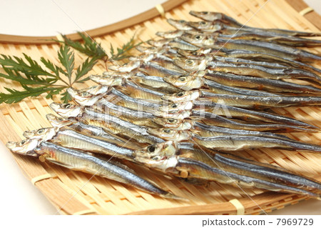 乾魚叫乾魚 7969729