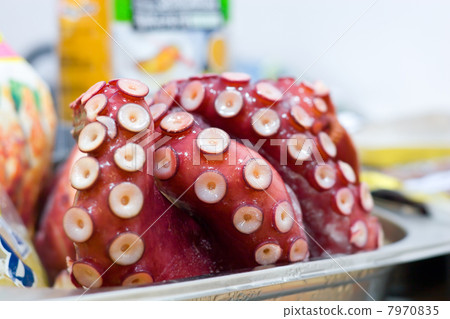 fresh octopus fresh octopus 7970835