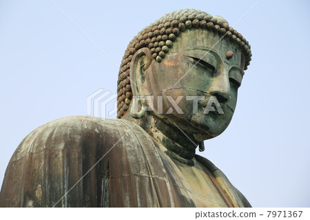 鎌倉大佛 7971367