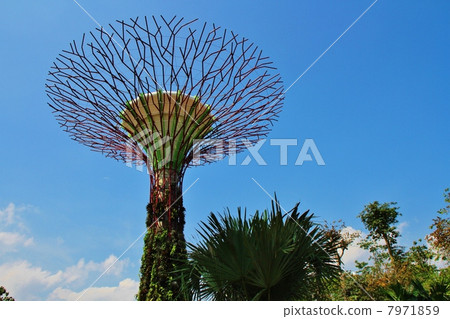artificial, botanical garden, southeast asia 7971859