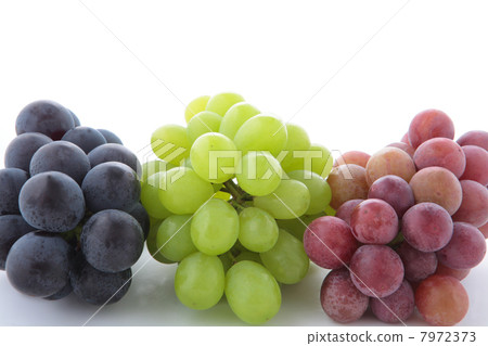 Grape Akane Queen,Fujibatori和Shimane Queen Grape Akane Queen,Fujibatori和Shimane Queen 7972373