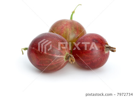 Macro shot of three red gooseberries 7972734