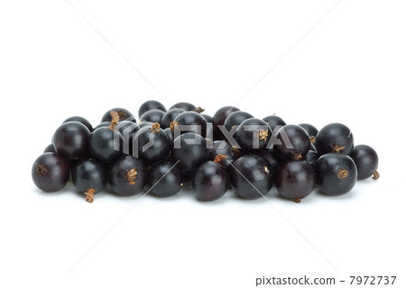 Small pile of blackcurrant berries 7972737