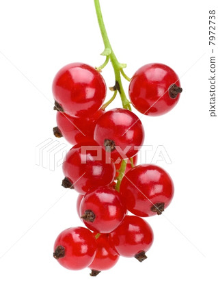 Some redcurrant berries 7972738