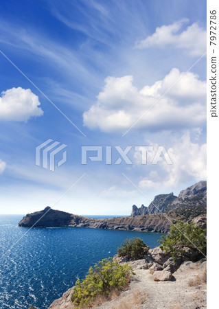Seascape 7972786