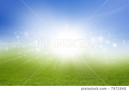 Green field, blue sky 7972848