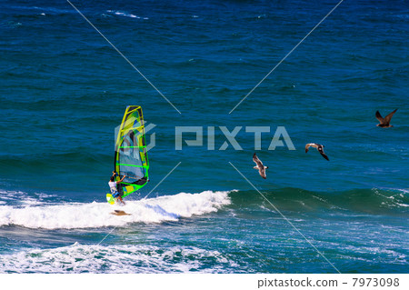 Women's wind surfer 7973098