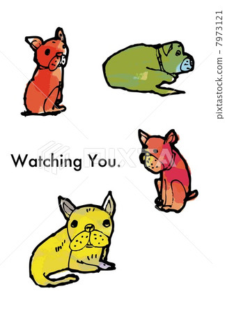 The dog is watching The dog is watching 7973121