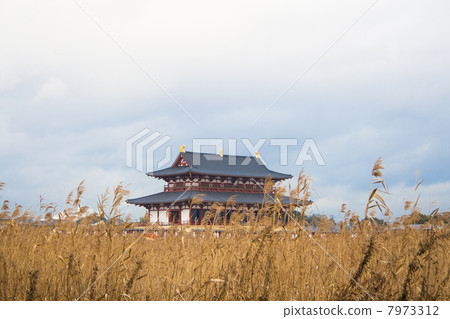 Heijo Palace Great Pole 7973312