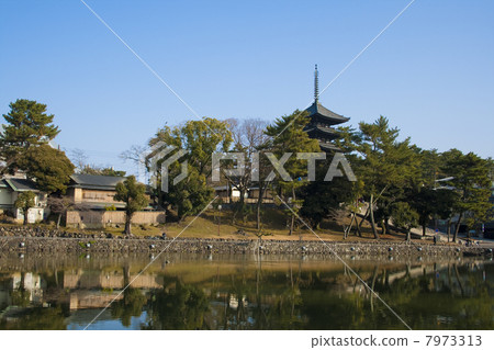 Sarusawa池塘五層塔 7973313