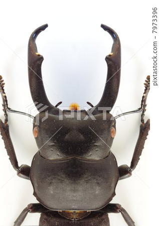 國和 國和 7973396