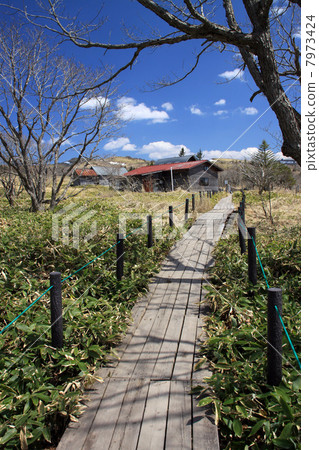 Yashima Mogara Yashima Mogara 7973424