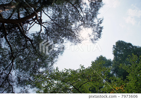 南湖公園 7973606