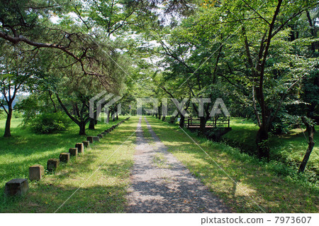 南湖公園 南湖公園 7973607