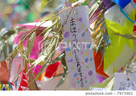 Kappabashi購物街Tanabata節 Kappabashi購物街Tanabata節 7973902