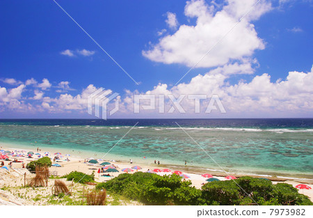 Yoshino Beach Coast 7973982