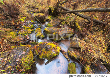 Autumn, HDRI 7974657