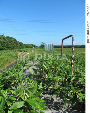 Namboku Line Air Station Prefix Station Trace 7974858